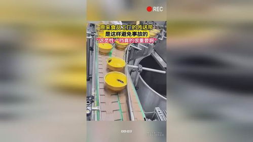 原來食品工廠的傳送帶,是這樣避免事故的
