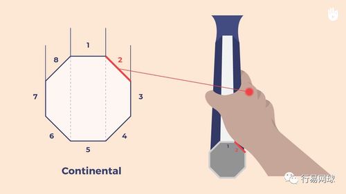 豐富你的武器庫 反手高壓球