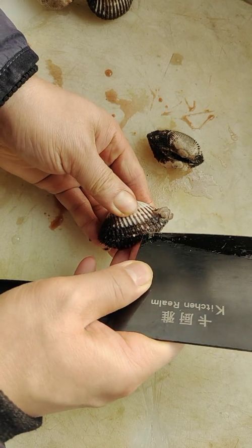 物品隨拍 手 工具