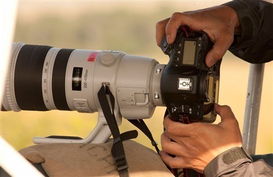 1周影像頭條 疑似5d3機(jī)身照 奧巴om