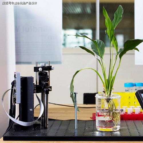 仿生植物融合納米傳感器 實時監測水中雜質與毒素的創新設計